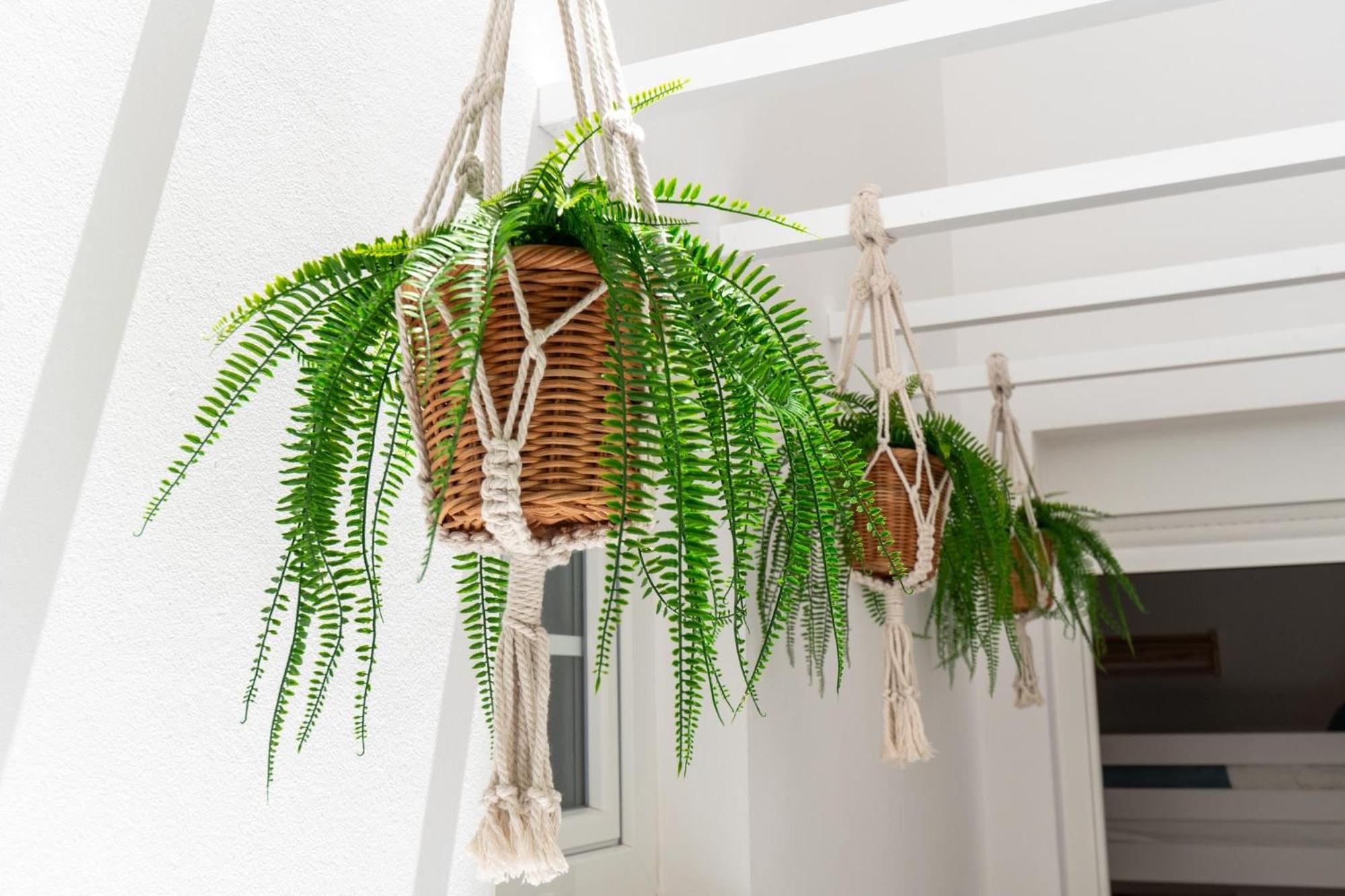 Apartmán Hidalgos Hideaway - La Caleta Costa Adeje  Exteriér fotografie